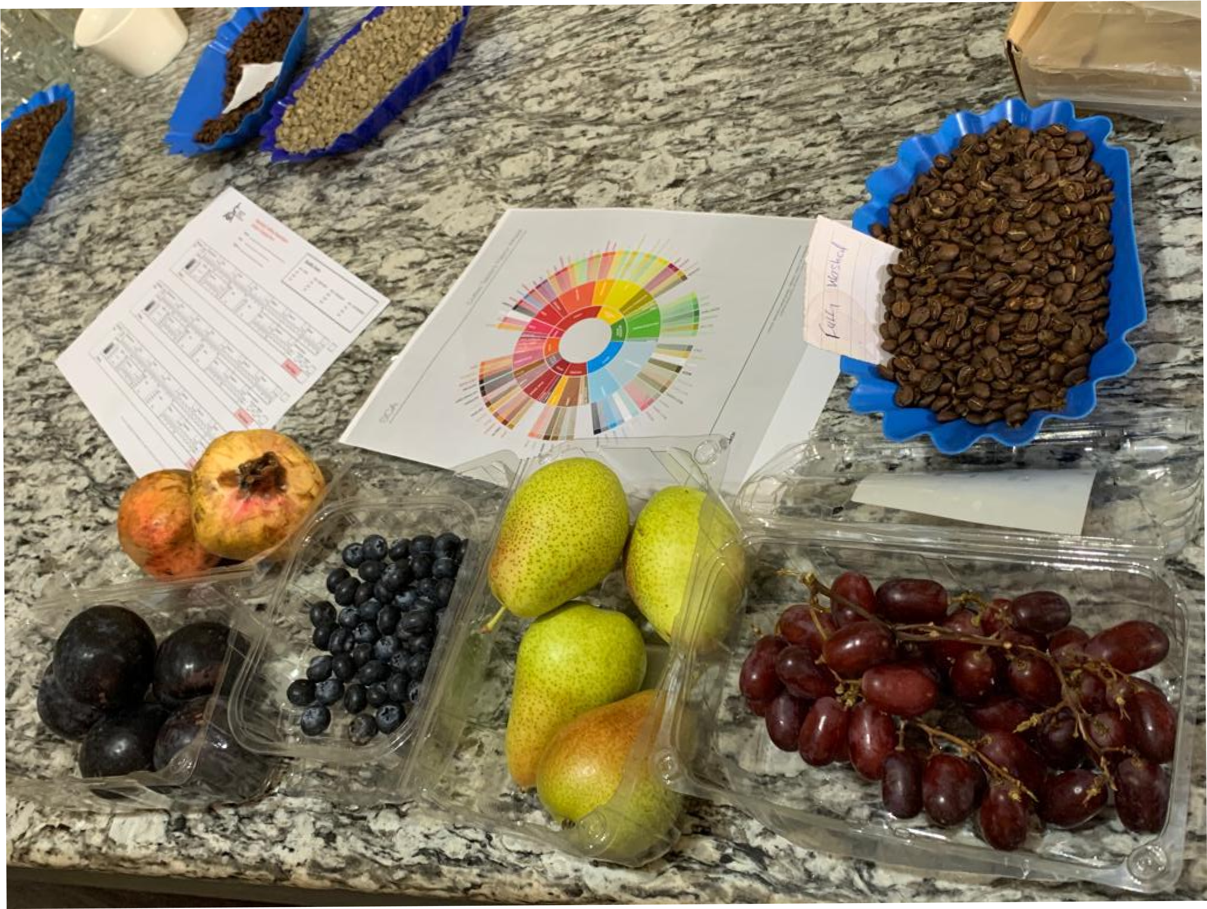 Sensory Skills Course